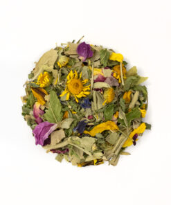 Alternative view of Gute Freunde